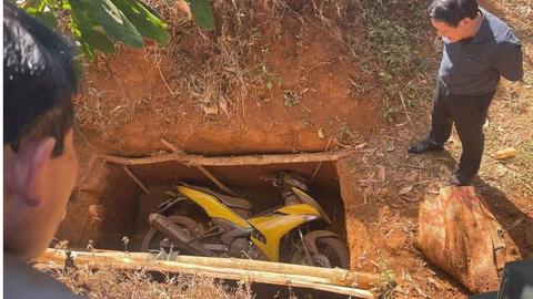 113 Online lúc 15h ngày 26/01/2026