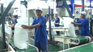 Xuất cấp hơn 4.000 tấn gạo hỗ trợ nhân dân dịp Tết và giáp hạt