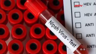 Ấn Độ điều tra dịch tễ liên quan các ca nhiễm virus Nipah