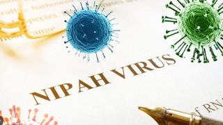 Bộ Y tế chỉ đạo tăng cường giám sát phòng, chống dịch bệnh do vi rút Nipah