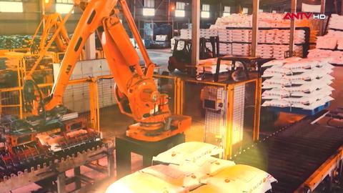 Vững tin sau Đại hội XIV