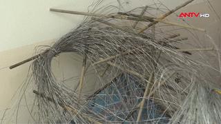 Đồng Tháp: Lại thêm án mạng từ bẫy chuột bằng điện