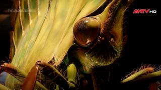 Côn trùng hóa thân thành những tác phẩm điêu khắc khổng lồ