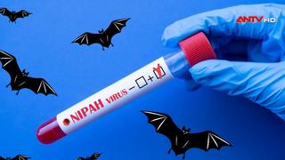 Virus Nipah: Cẩn trọng nhưng không hoang mang