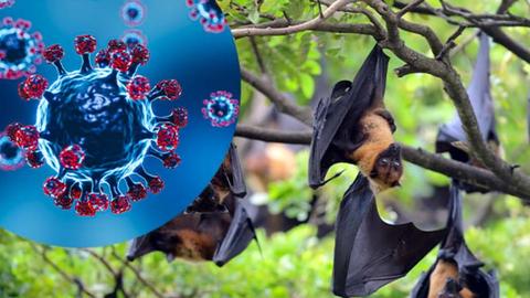 An ninh toàn cảnh ngày 29/01/2026