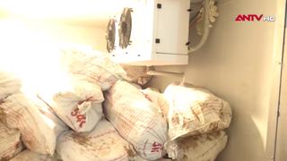 Khởi tố bị can thu mua lợn bệnh chết bán ra thị trường