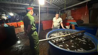 Mở rộng điều tra vụ án ngâm 3000 tấn ốc bươu bằng hóa chất công nghiệp