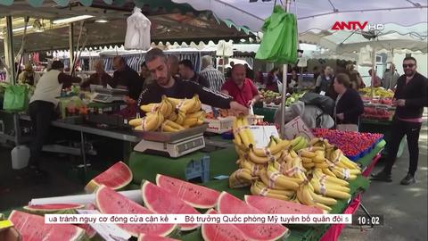 An ninh thế giới ngày 31/01/2026