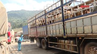 Ngăn chặn hàng lậu qua biên giới 