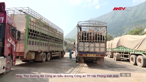 113 Online lúc 15h ngày 05/02/2026