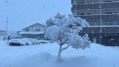 An ninh thế giới ngày 06/02/2026