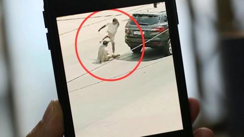 Tin tức nổi bật mới diễn ra 