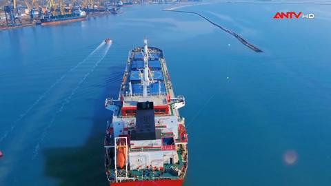 Đại hội XIV: Bản lĩnh và khát vọng vươn mình