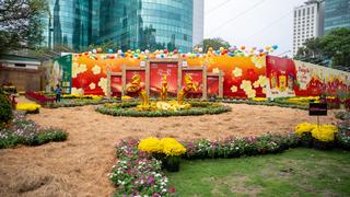 Rực rỡ sắc xuân tại các chợ hoa Tết Bính Ngọ 