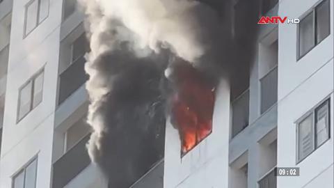 Tin nhanh lúc 9h ngày 13/02/2026