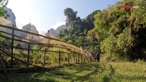 Những khởi đầu mới 