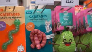 Valentine ngọt ngào cho thú cưng tại Anh