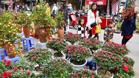 Tổ chức hơn 70 điểm chợ hoa xuân phục vụ người dân