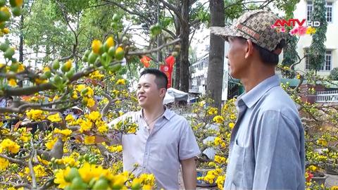 Hy vọng từ những chậu hoa Tết