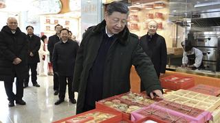 Triển lãm nghệ thuật hoa Floral Wonderland 2026 tại Thượng Hải