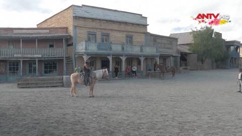  Trải nghiệm miền viễn Tây cùng những chú ngựa ở Tây Ban Nha