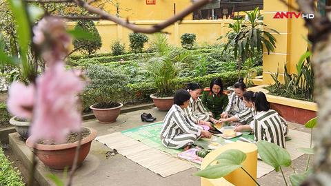 Tết ở nơi đặc biệt