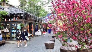 Phố sách Hà Nội vào Xuân
