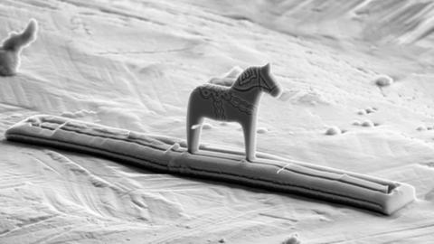 Ngựa Dala nhỏ nhất thế giới