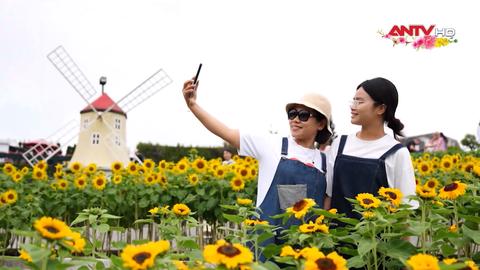 Lịch nghỉ lễ Giỗ Tổ Hùng Vương và dịp 30/4 - 1/5/2026