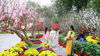  Rộn ràng không khí du xuân