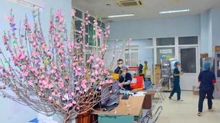 Phòng chống dịch và khám chữa bệnh dịp Tết được bảo đảm