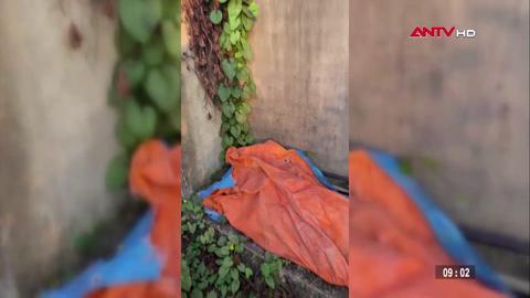 Khởi tố 2 đối tượng buôn bán gần 180 kg pháo hoa nổ trái phép