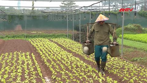 Nông dân vào vụ sản xuất ngay sau Tết Nguyên đán