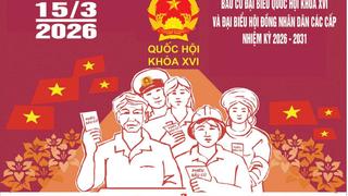 Thống kê cơ cấu 864 người ứng cử đại biểu Quốc hội khóa XVI