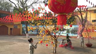 Gieo mầm thiện lương 