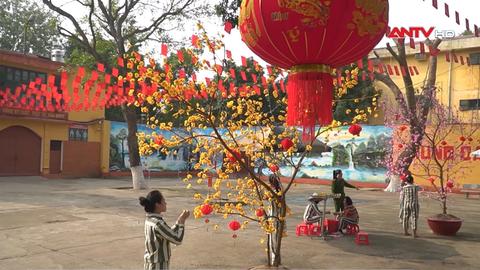 Gieo mầm thiện lương 