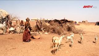 Khủng hoảng lương thực tại Somalia, 6,5 triệu người đối mặt nạn đói