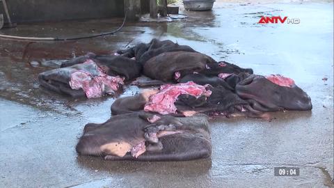 Phát hiện, thu giữ gần 6 tấn thực phẩm không rõ nguồn gốc