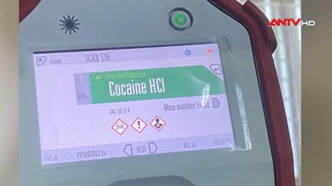 113 Online lúc 15h ngày 28/02/2026