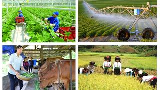 Đề xuất nâng hỗ trợ phí bảo hiểm nông nghiệp lên 95% cho hộ nghèo