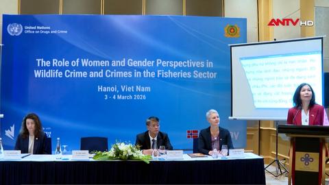 Hợp tác, thúc đẩy bình đằng giới trong đấu tranh tội phạm môi trường 