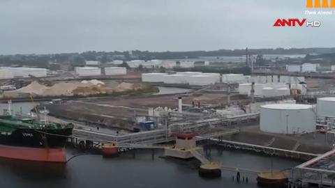 QatarEnergy tạm ngừng sản xuất do căng thẳng Trung Đông