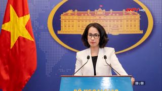 Việt Nam phản đối hành vi sử dụng vũ lực tấn công vào các quốc gia có chủ quyền