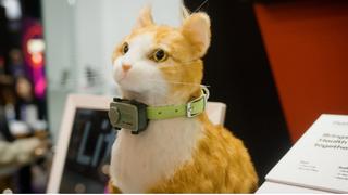 Điện thoại thông minh dành cho thú cưng