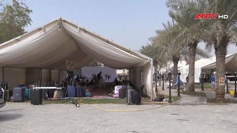 Mái ấm giữa tâm bão: Trang trại nhân ái tại Ajman, UAE