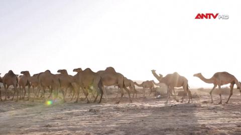 An ninh toàn cảnh ngày 09/3/2026