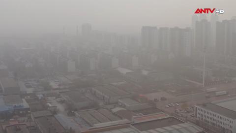 Làm sao để hạn chế tác hại của không khí bẩn?