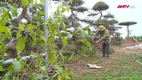 Kế hoạch của ngày mới
