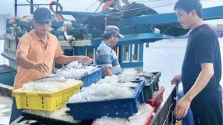 Ngư dân Đà Nẵng sẵn sàng cho ngày hội bầu cử