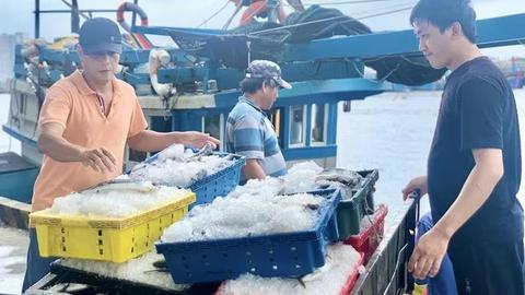 Ngư dân Đà Nẵng sẵn sàng cho ngày hội bầu cử